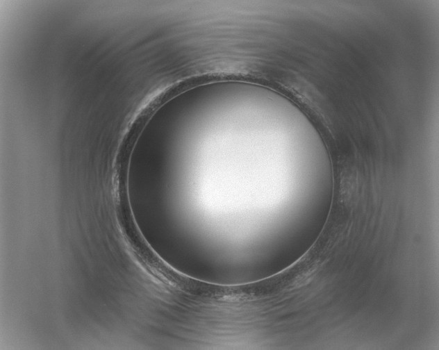 X0000053000584200507151923