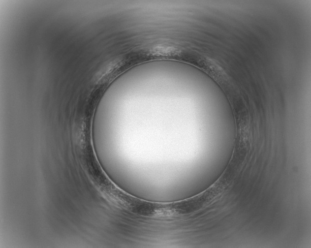 X0000053000591200507151923
