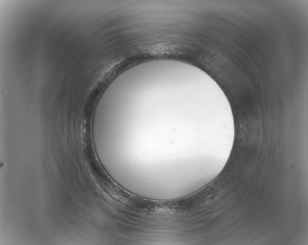 X0000053000592200507151923