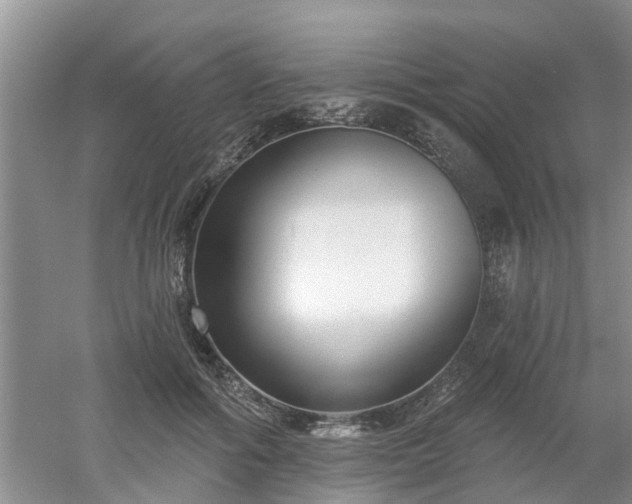X0000053000602200507151923