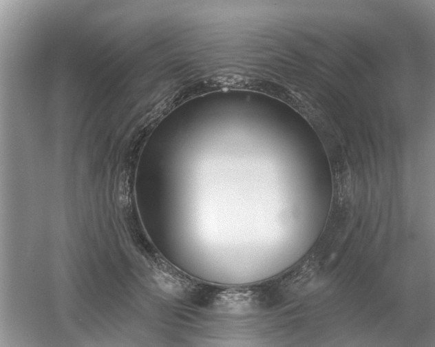 X0000053000606200507151923