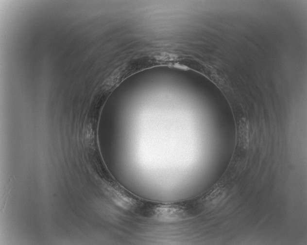 X0000053000614200507151923