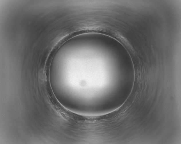 X0000053000628200507151922
