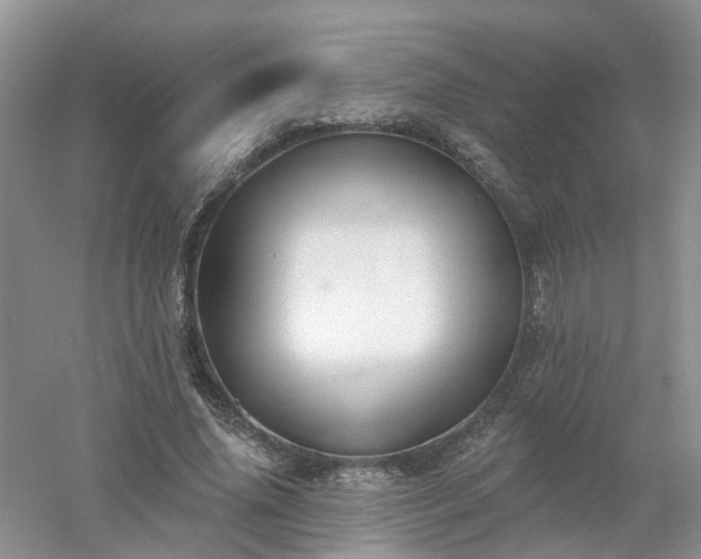 X0000053000636200507151922