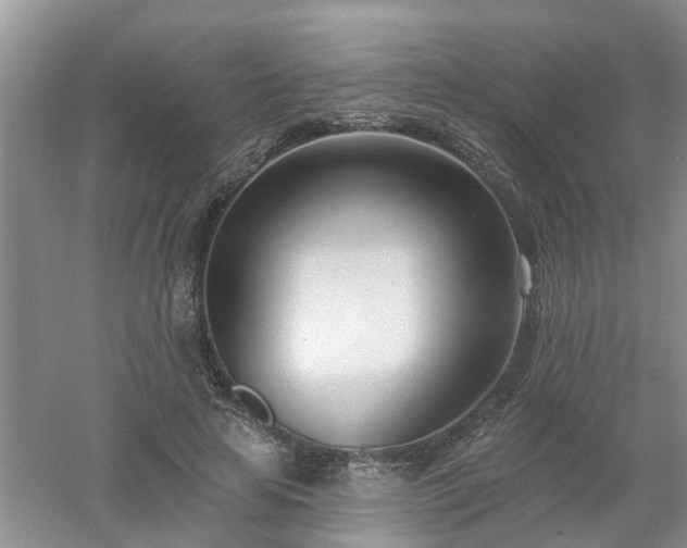 X0000053000641200507151922