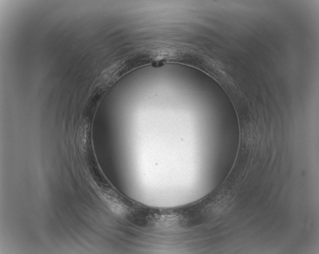 X0000053000645200507151922