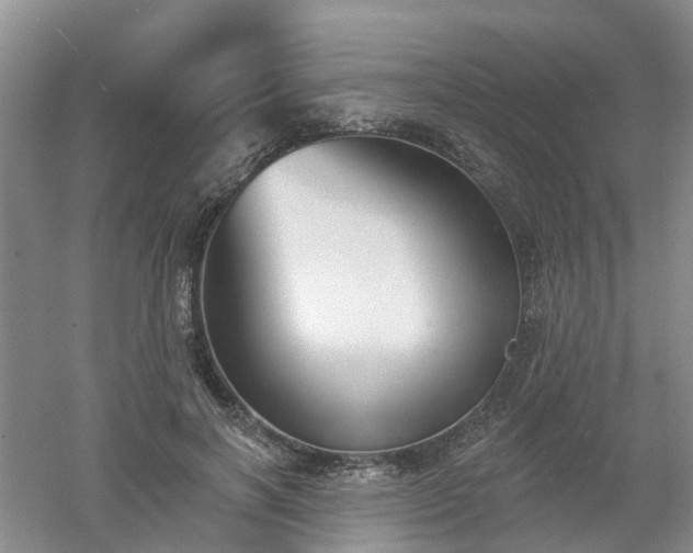 X0000053000646200507151922