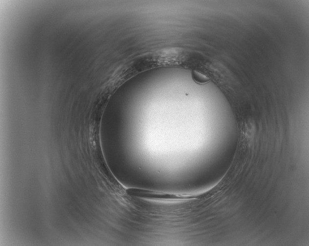 X0000053000663200507151923