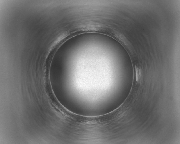 X0000053000675200507151922