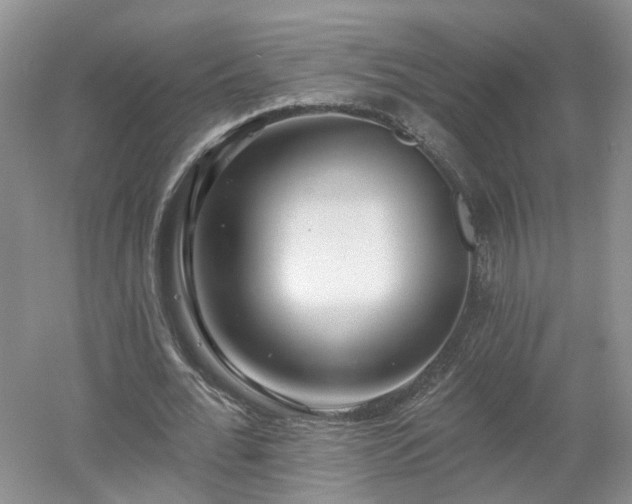 X0000053000676200507151922