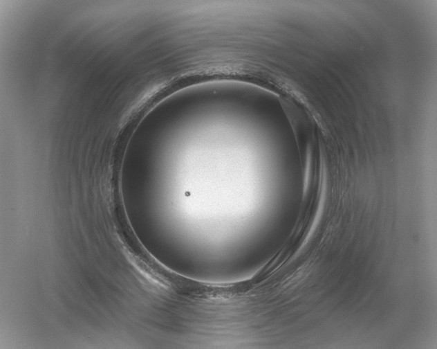 X0000053000677200507151922