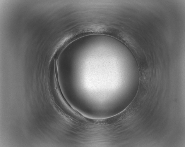 X0000053000679200507151922