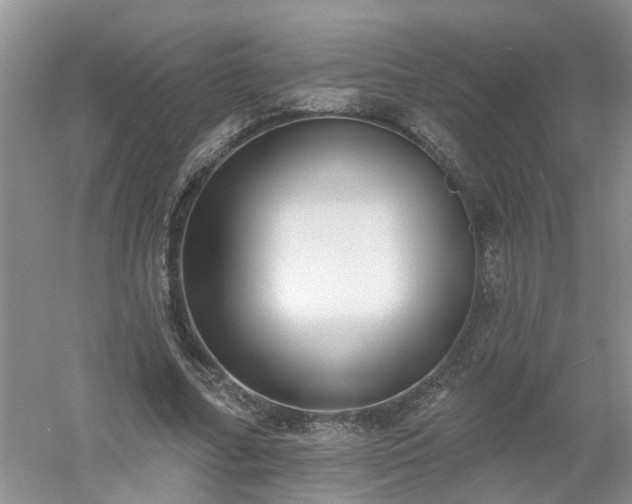 X0000053000682200507151922