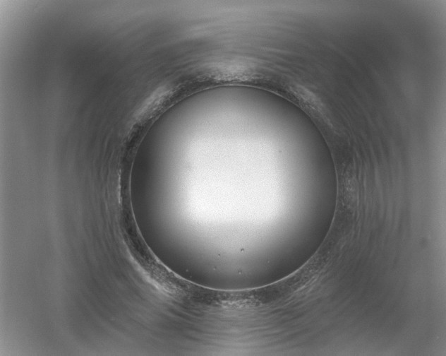 X0000053000686200507151922