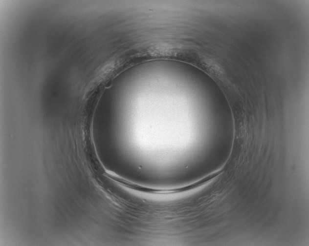 X0000053000687200507151922