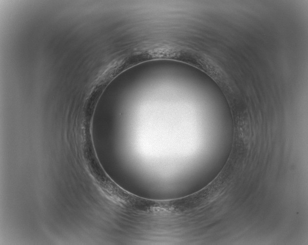 X0000053000690200507151922