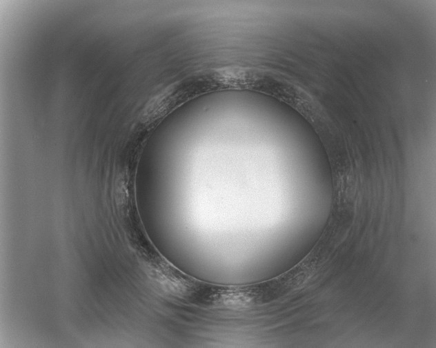X0000053000702200507151921