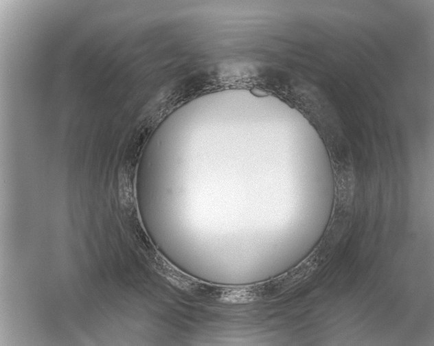 X0000053000705200507151921