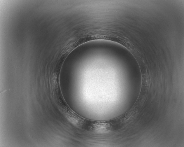 X0000053000711200507151921
