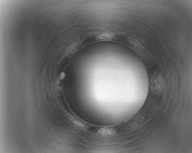 X0000053000714200507151921