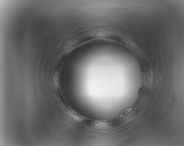 X0000053000718200507151921
