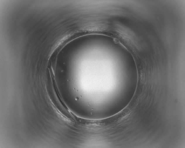 X0000053000725200507151920