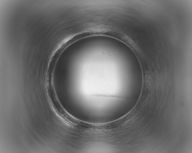 X0000053000726200507151920
