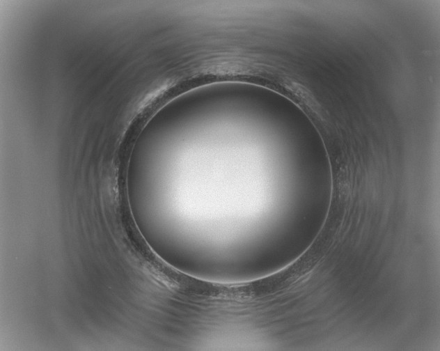X0000053000727200507151920