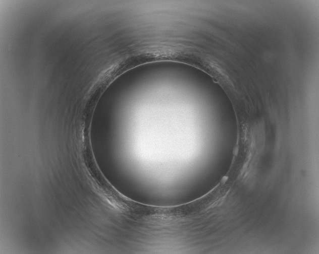X0000053000733200507151921