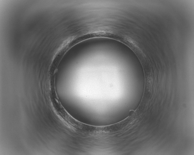 X0000053000734200507151921