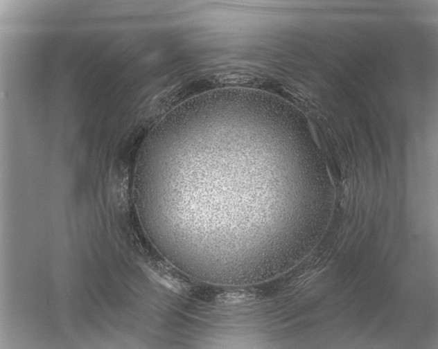 X0000053000745200507151921