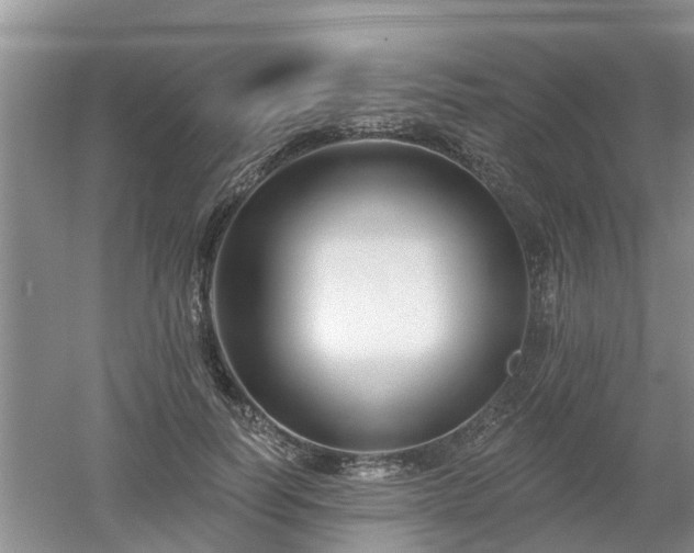 X0000053000746200507151921