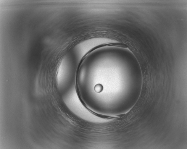 X0000053000750200507151921