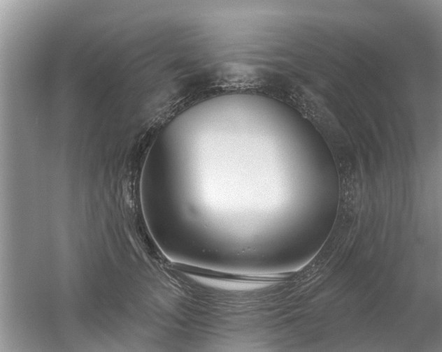 X0000053000755200507151921