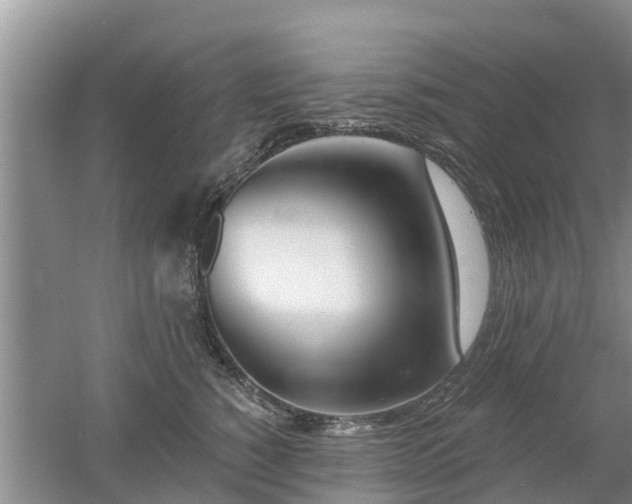 X0000053000760200507151921