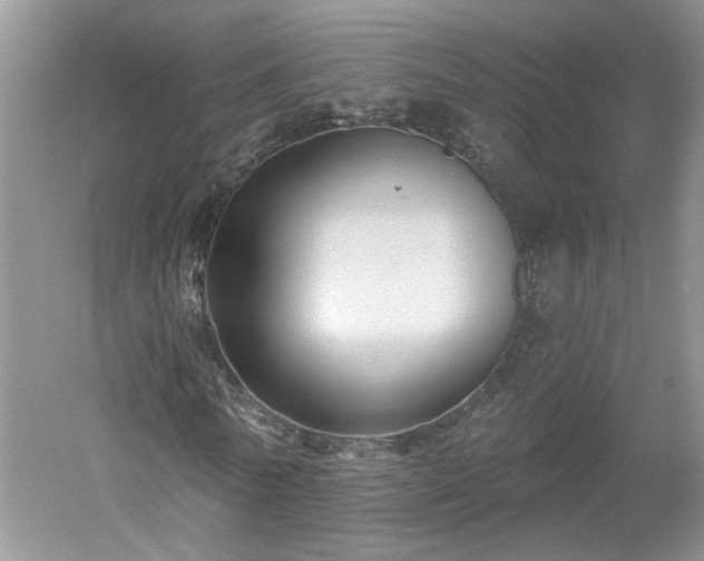 X0000053000770200507151920