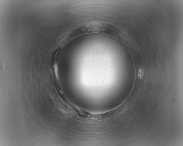 X0000053000771200507151920