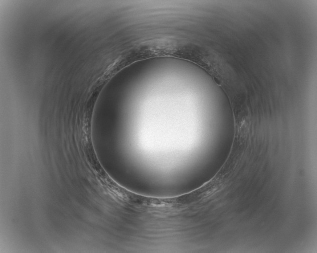 X0000053000772200507151920