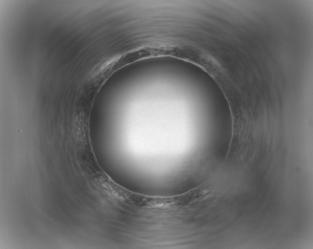 X0000053000773200507151920