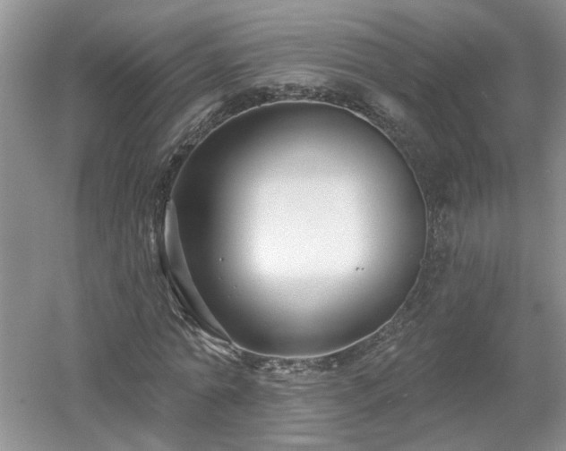 X0000053000774200507151920