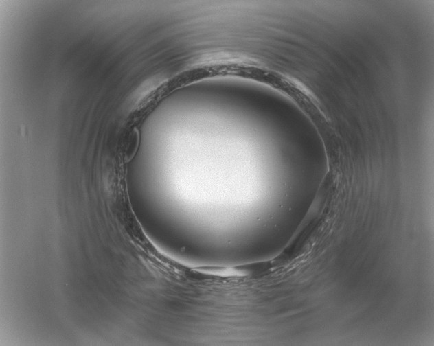 X0000053000775200507151920