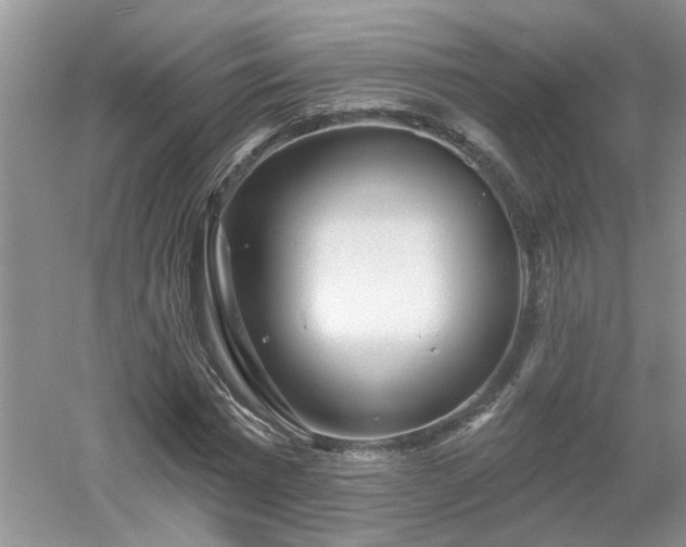 X0000053000777200507151920