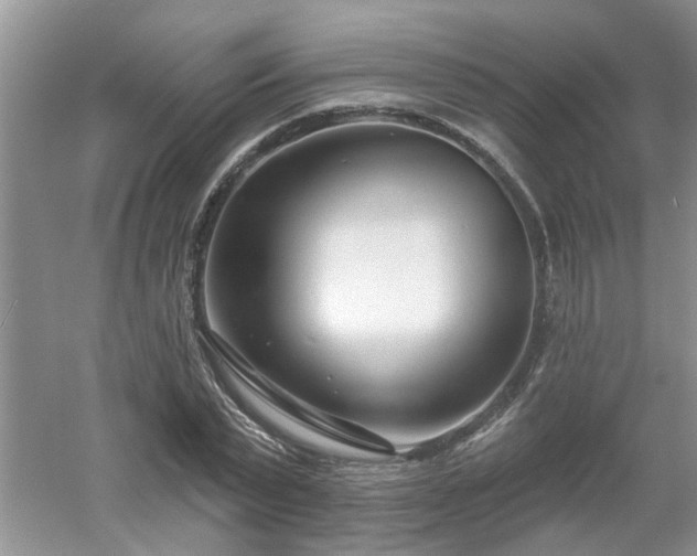 X0000053000783200507151920
