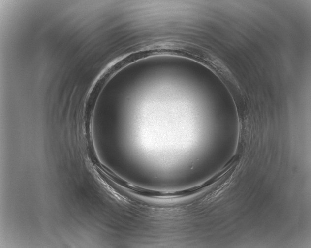 X0000053000784200507151920