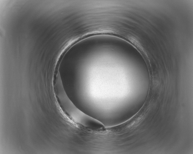 X0000053000797200507151920
