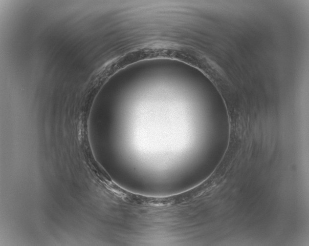 X0000053000821200507151919