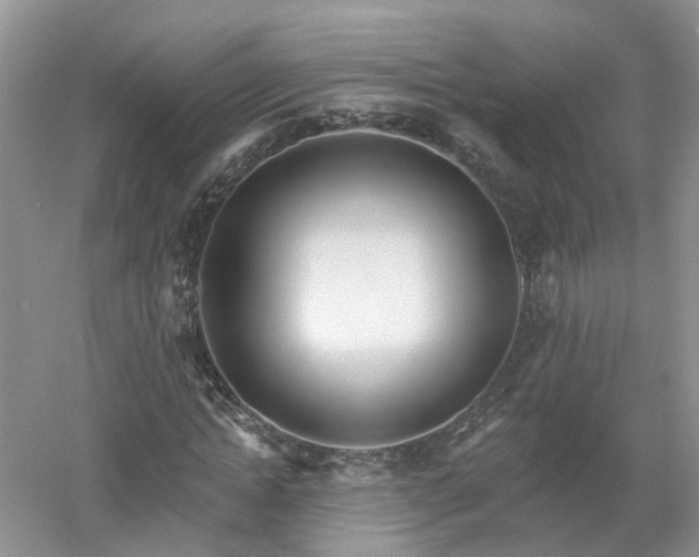 X0000053000822200507151919