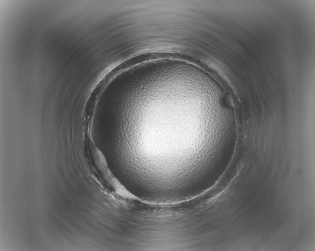 X0000053000829200507151919