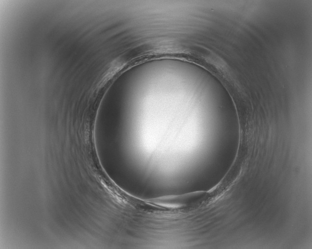 X0000053000833200507151919