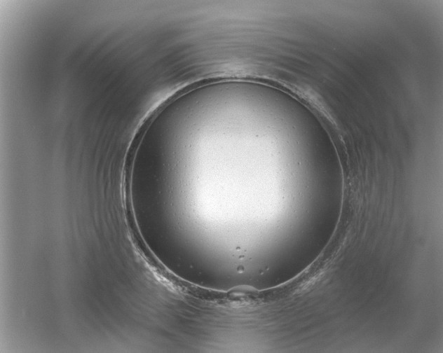 X0000053000839200507151919
